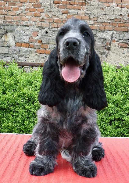 3-Bella 23.5.2010.JPG